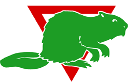 Bæver